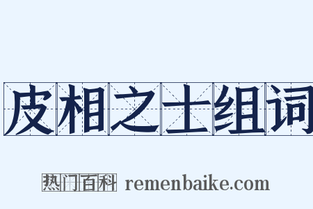 皮相之士组词是什么意思的图片